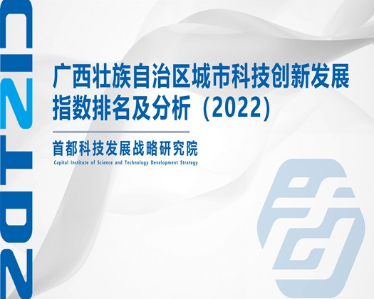 男人大鸡巴狂操女人【成果发布】广西壮族自治区城市科技创新发展指数排名及分析（2022）